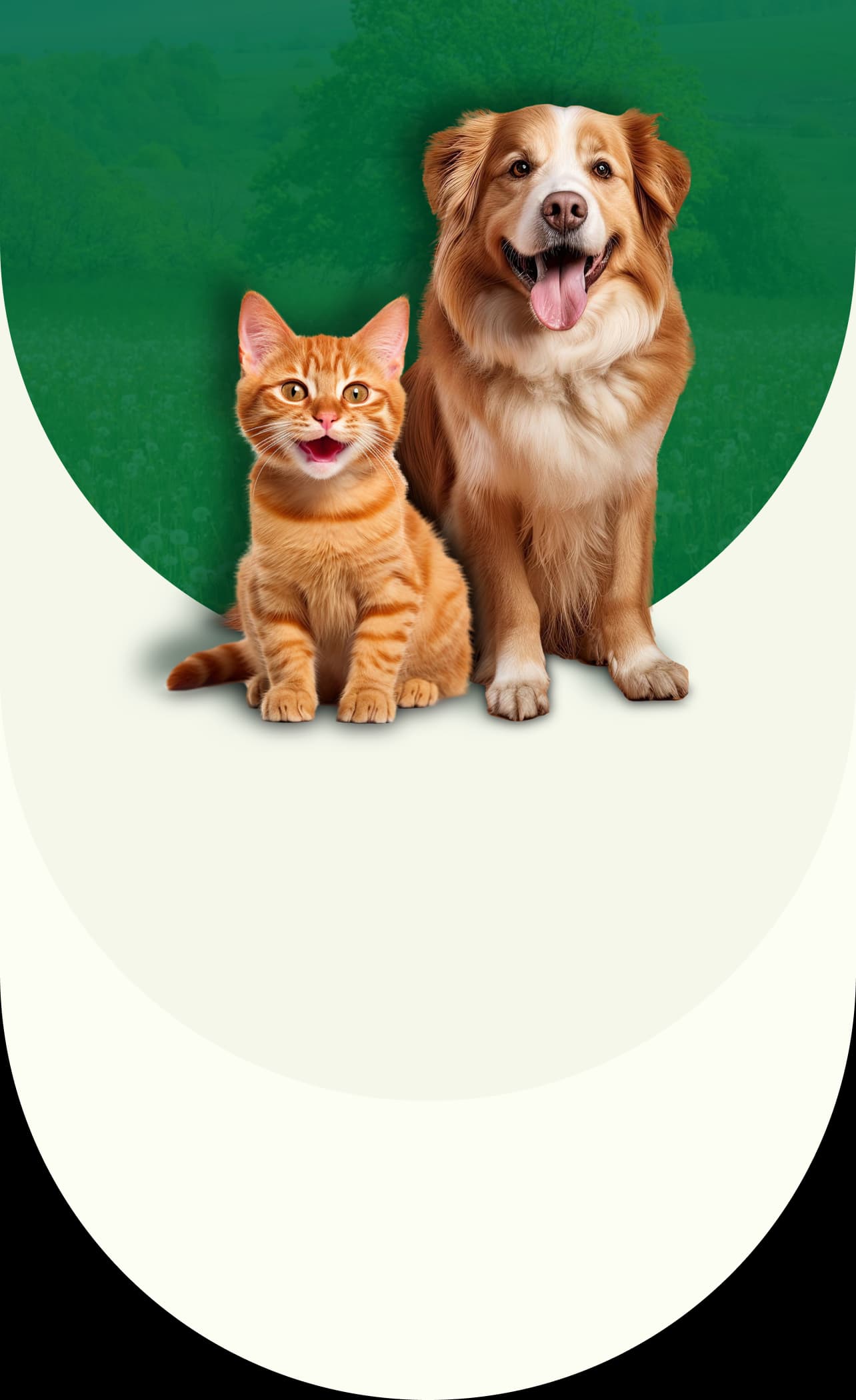 Helping fur babies thrive