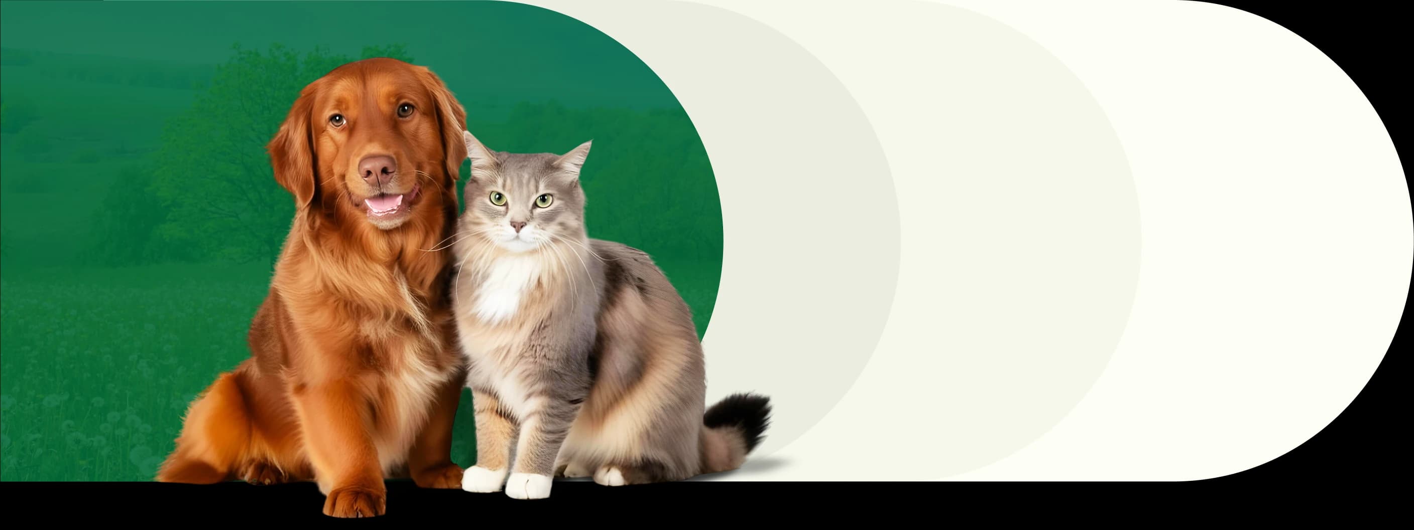 Helping fur babies thrive