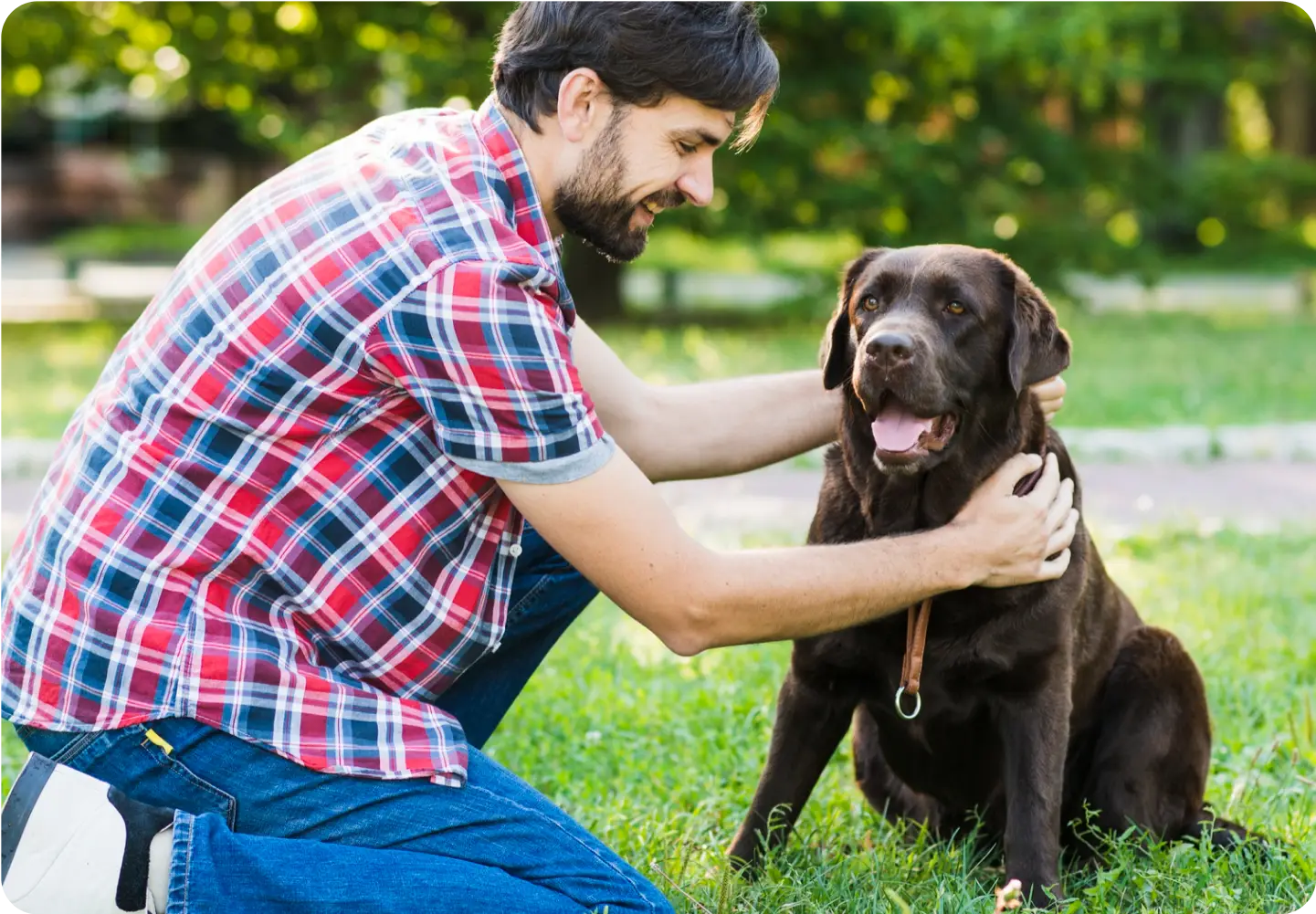 several uncommon dog urinary conditions: how to spot & treat them (vet approved)