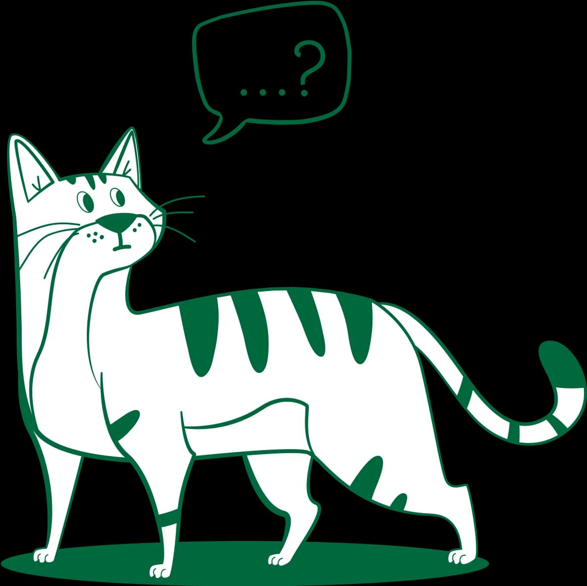 frequently asked questions