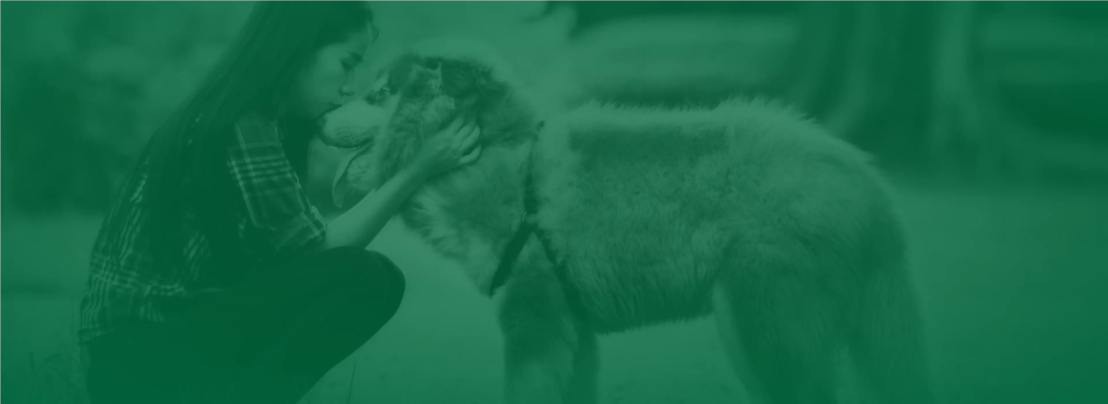 Footer CTA Banner
