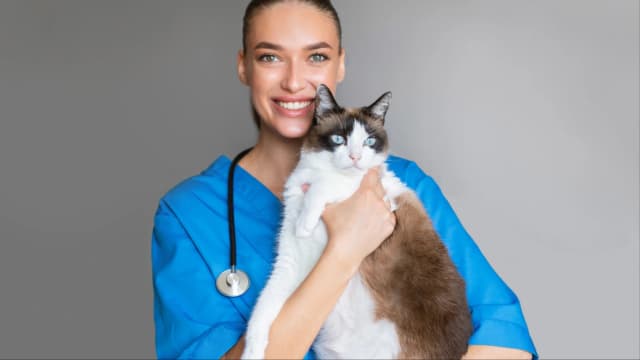 Veterinarian with cat