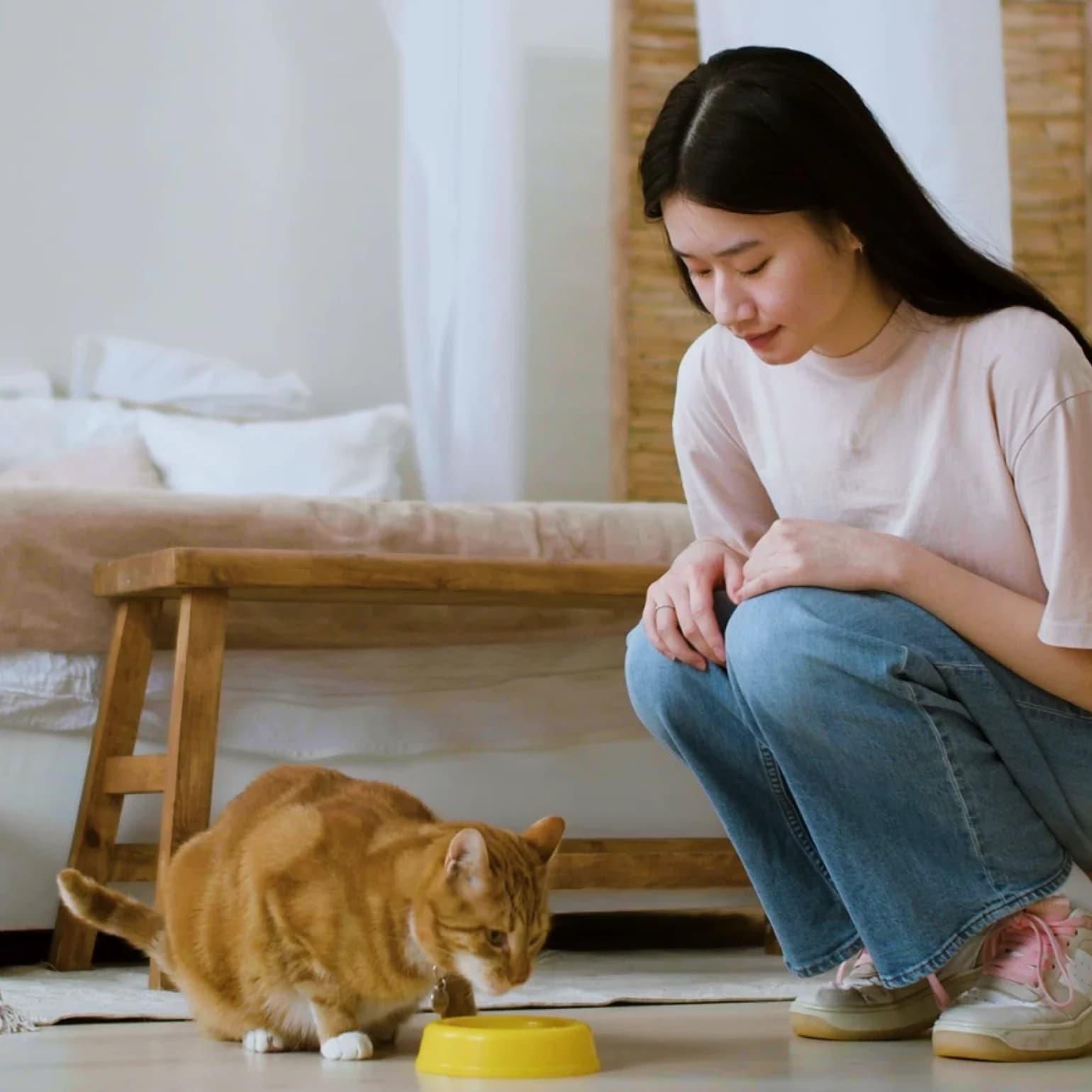 Woman feeding a cat
