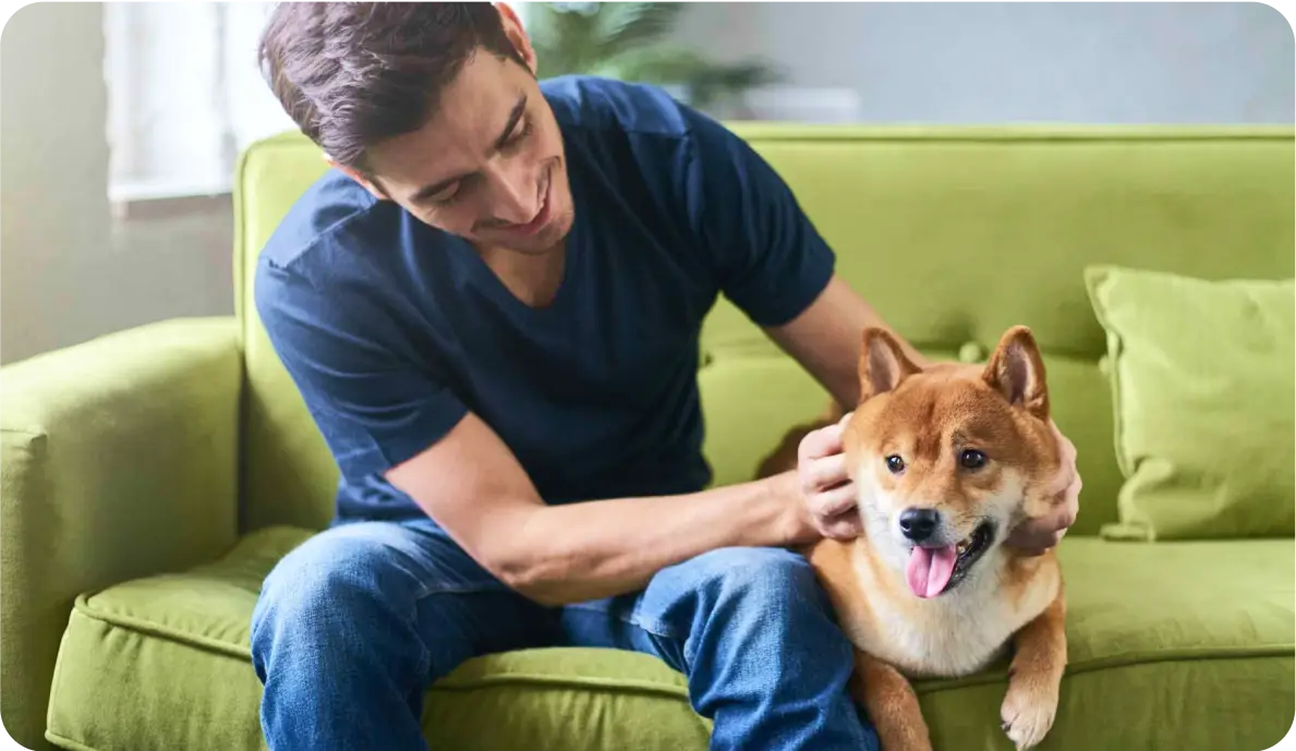 pet-caring