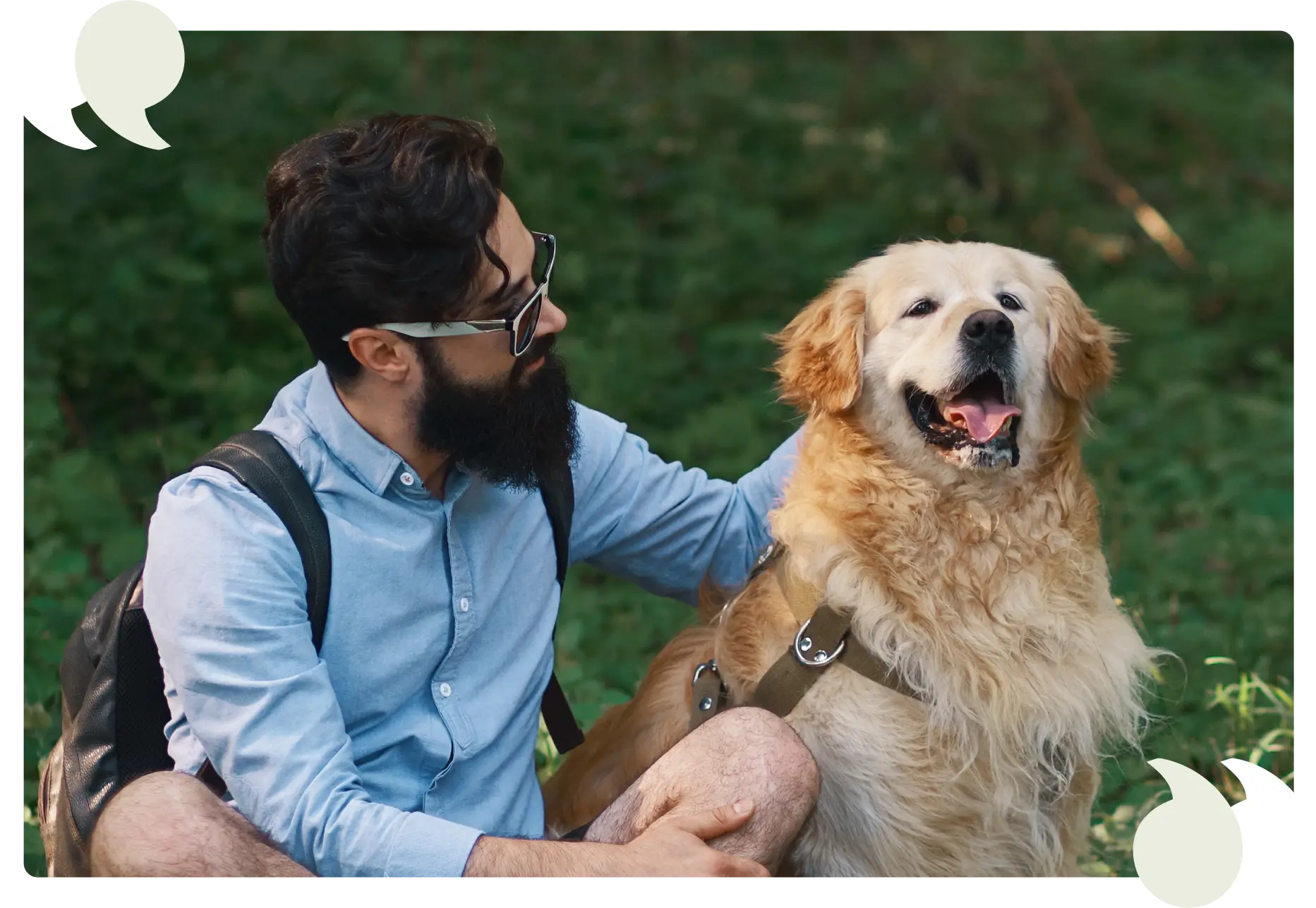Dog image